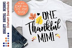 One Thankful Mimi Svg Fall Family shirt svg design Autumn Product Image 1
