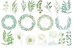 Watercolor Eucalyptus Leaves Product Image 2