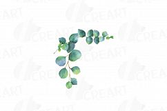 Eucalyptus leaves and branches watercolor clip art pack, Eucalyptus design elements. PNG, jpg, svg, vector illustrator &amp; corel files included Product Image 2