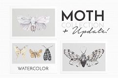 MOTH watercolor collection Product Image 1
