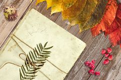 Autumn Scene Mock-up 7 Product Image 1