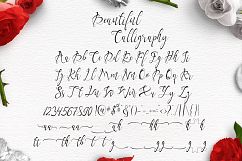 Yalanda Script Product Image 8