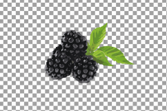 Watercolor Blackberry, branch and leaves clip art pack Product Image 7