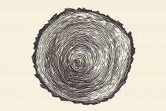 Tree rings Product Image 1