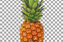 Watercolor Pineapple clip art pack, watercolor ananas clip art exotic fruit, Printable png, pdf, jpg, svg, eps and vector files included. Product Image 5