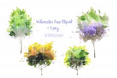 Watercolor Tree Clipart Wood Forest Spring Autumn Wedding Product Image 2