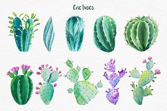 Cactus. Watercolor illustrations. Product Image 3