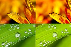 Drops Lr Presets Product Image 8
