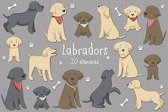 Labradors Product Image 1