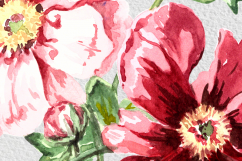 Watercolor Peonies Prints, Patterns &amp; Clip Arts Product Image 3