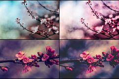 23 Pink Spring Lightroom Presets Product Image 2