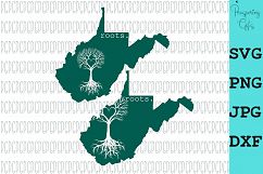 State Roots-All 50 States Product Image 18