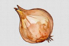 Onion vegetables PNG watercolor set Product Image 3