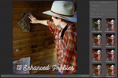 Technicolor Profiles LR7.3 ACR10.3 Product Image 2