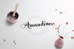 Allure Feminine logo pack Product Image 4