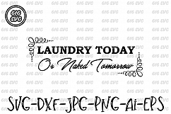 Laundry Today or naked tomorrow SVG, DXF, Ai, PNG Product Image 1