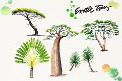 watercolor exotic trees Product Image 4