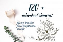 Handsketched floral elements. VOL2 Product Image 5