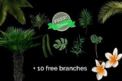 51 Tropic Tree Branch Photo overlays Product Image 5