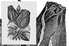 Rose - Vintage Black and White Gontier Florals Product Image 2