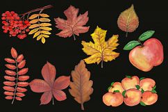 Fall leave Autumn clipart,watercolor fall clipart Product Image 2