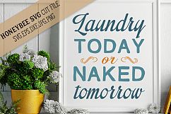 Laundry Today or Naked Tomorrow svg Product Image 1