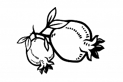 Hand drawing pomegranate line art vector Product Image 1