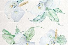 Bianca Watercolor Design Set Product Image 4