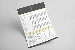 Clean Elegant MS Word Resume Product Image 3
