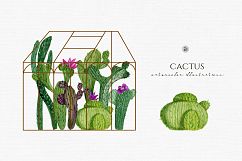 Cactus Watercolor Illustrations Product Image 2