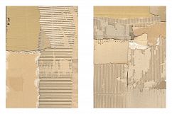 Worn &amp; Torn Cardboard Texture Vol. 1 Product Image 2