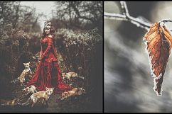7000 Professional Lightroom Presets Product Image 13