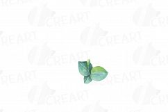 Eucalyptus leaves and branches watercolor clip art pack, Eucalyptus design elements. PNG, jpg, svg, vector illustrator &amp; corel files included Product Image 7