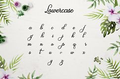 Olivia Script Product Image 3