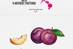Watercolor Fruits Vol. 5 Product Image 6
