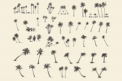 Silhouette of palm trees Product Image 2