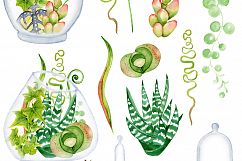 Succulents terrarium creator Vol.2 Product Image 2