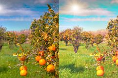 26 Landscape Photoshop Actions Collection (Action for photoshop CS5,CS6,CC) Product Image 3
