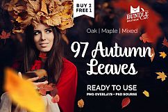 97 Autumn Leaves Photo Overlays Product Image 1
