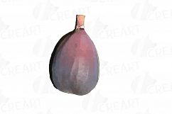 Watercolor Fig clip art pack,common fig leaves, fig fruit Product Image 8