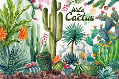 Watercolor Cactuses Product Image 2