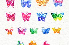   Set of watercolor design elements: rose flowers, plants, butterflies, seamless patterns, splashes.  Product Image 6