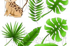 Wild cats clipart Product Image 6