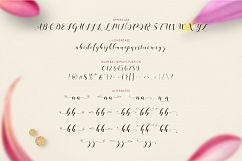 Loveya Script (Font Duo + Extras) Product Image 9