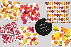 Watercolor autumn leaves Product Image 3