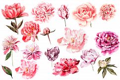 Hand Drawn Watercolor Bundle FLOWERS Product Image 2