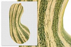 Green Striped Cushaw Squash Product Image 2
