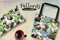 Panda wild animal PNG watercolor set Product Image 2