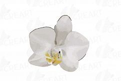 Watercolor white orchids clip art, Orchid leaves and flowers Product Image 8