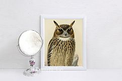 White Frame Mockup 8x10 stock photo png jpg Product Image 3